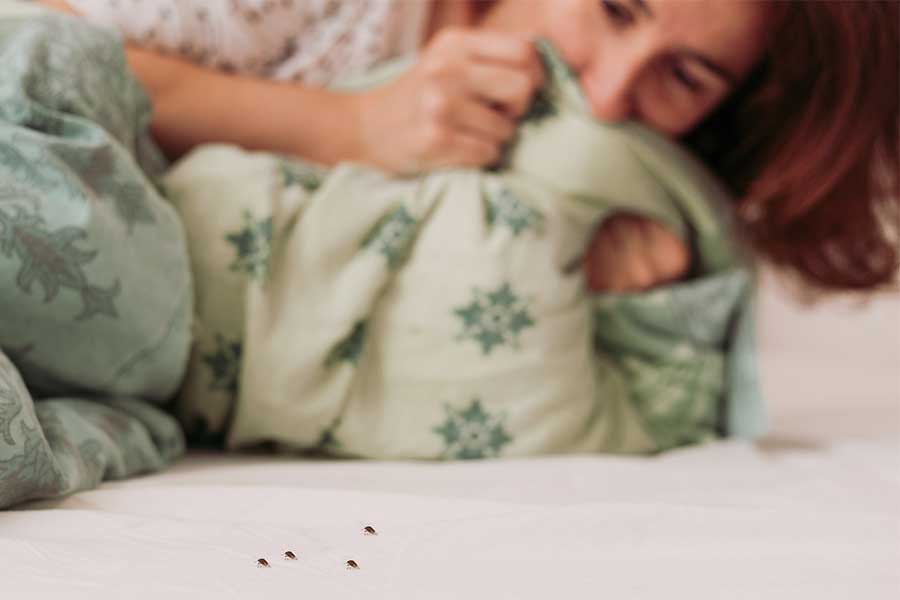 Do Bed Bugs Bite; Arrow Exterminators, Inc