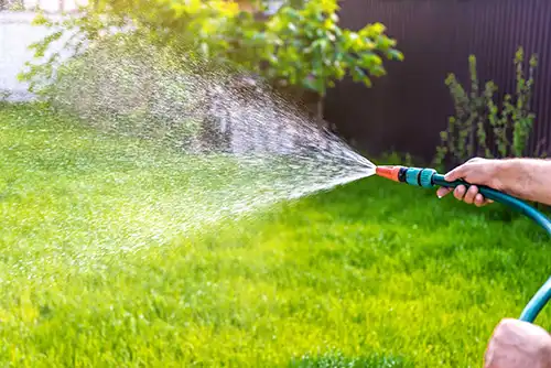 person watering their lawn - Keep pests away from your lawn with Arrow Exterminators in OK
